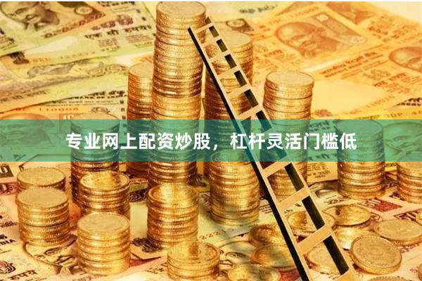 专业网上配资炒股，杠杆灵活门槛低